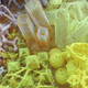 Image for article titled Artist “Nanofactures” Paintings Using a 3D Printer and Molecular Modelling Software